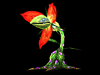 File:Nar Lily.png