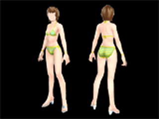 File:Bikini Swimwear (female clothes).png
