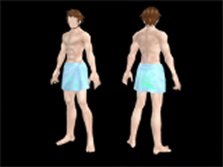 File:Macho Bath Towel (male parts).png