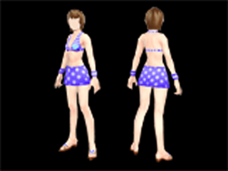 File:Regular Swimwear (female clothes).png
