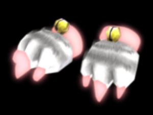 Twin Snowy Claws.png
